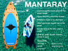 14ft 'Mantaray' Multi-Person Paddle Board